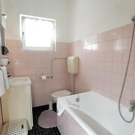 Toncika 特罗吉尔